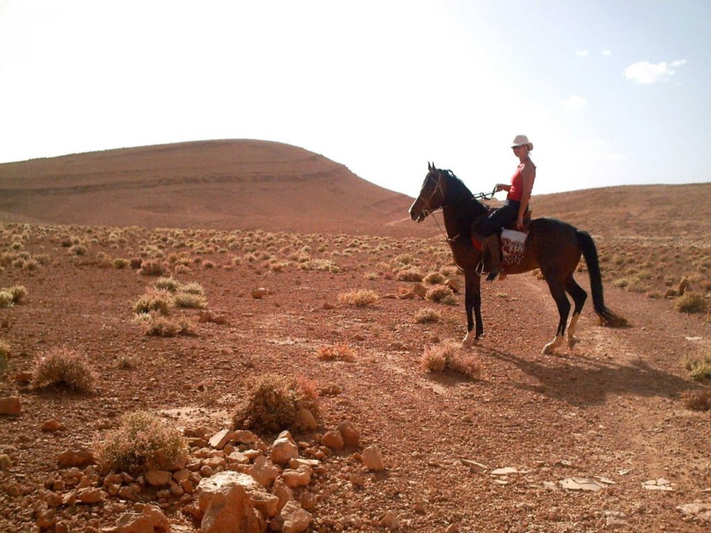 Horse Ride at Agafay
